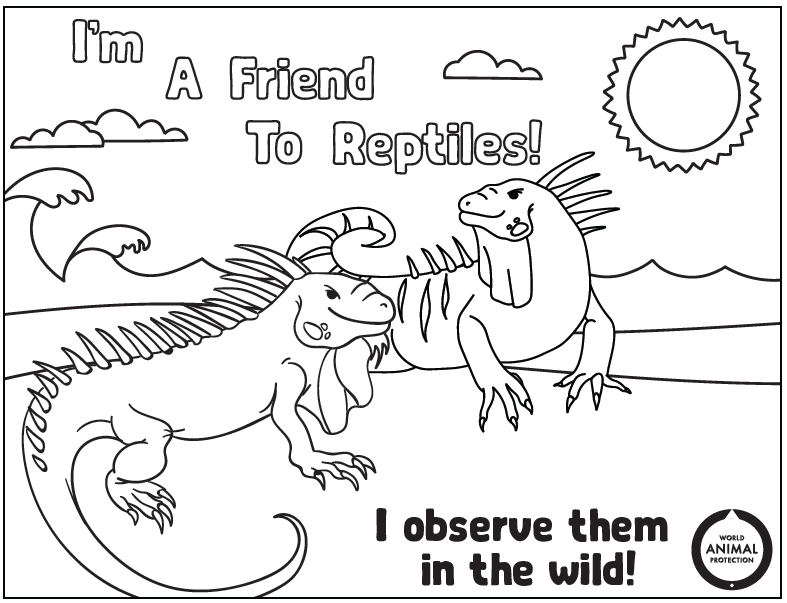 Teach Your Kids to Better Respect Wildlife with Our New Activity Booklet