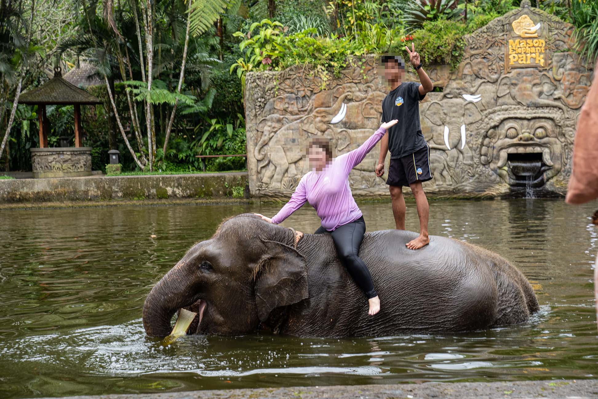 An elephant ride in the water.