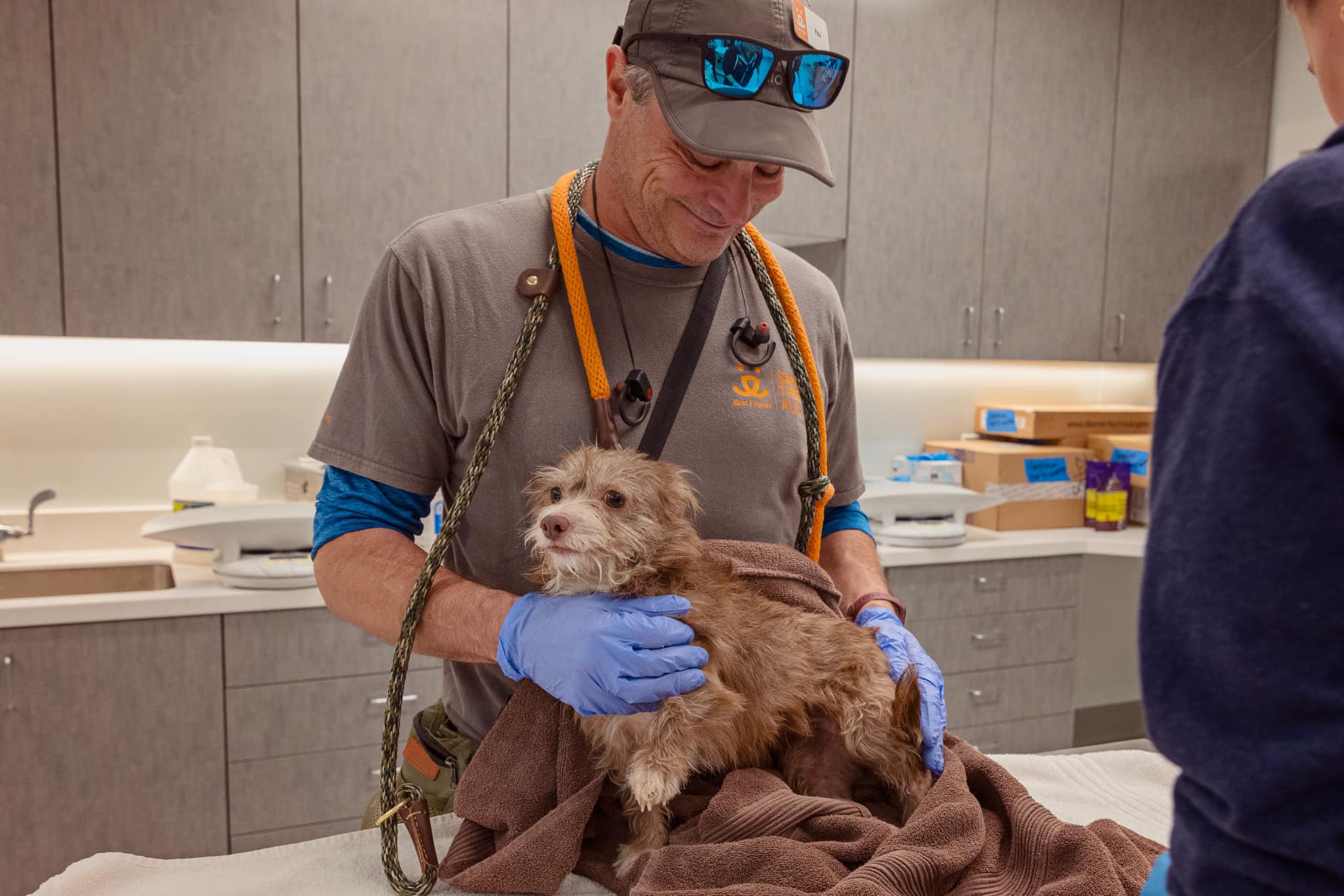 A dog rescued from the 2025 Los Angeles wildfires being treated by Best Friends Animal Society.