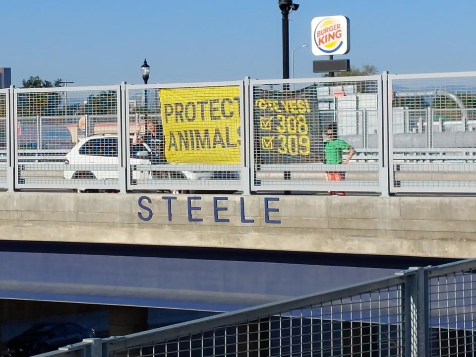 Protestors holding a banner on a highway in Denver urging passersby to vote YES on Measures 308 and 309.