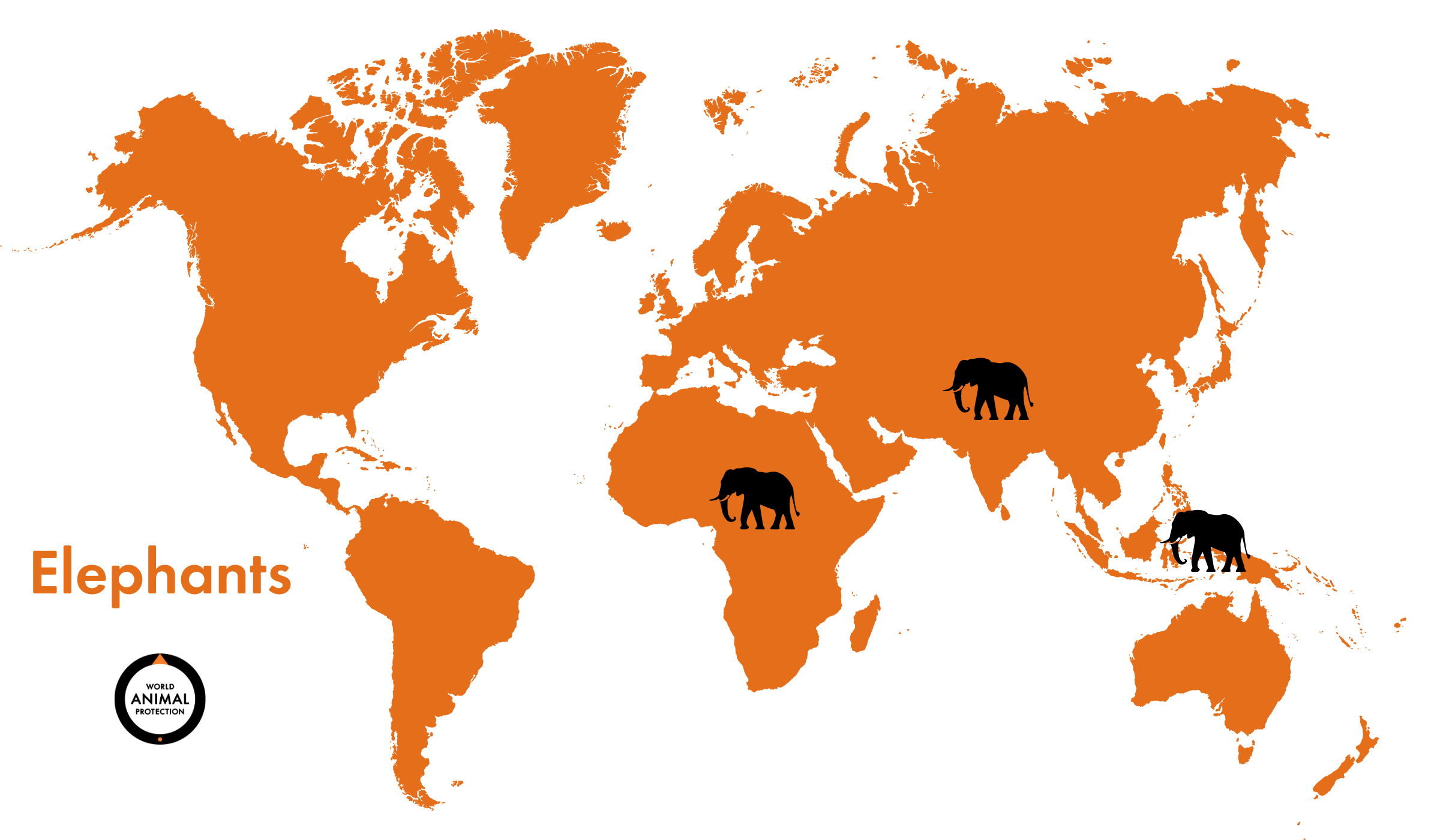 A map showing where elephants live around the world.