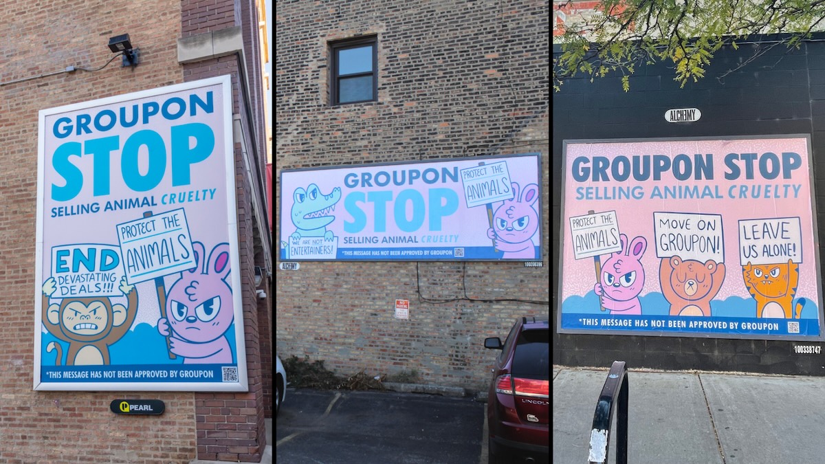 Groupon billboards in Chicago.