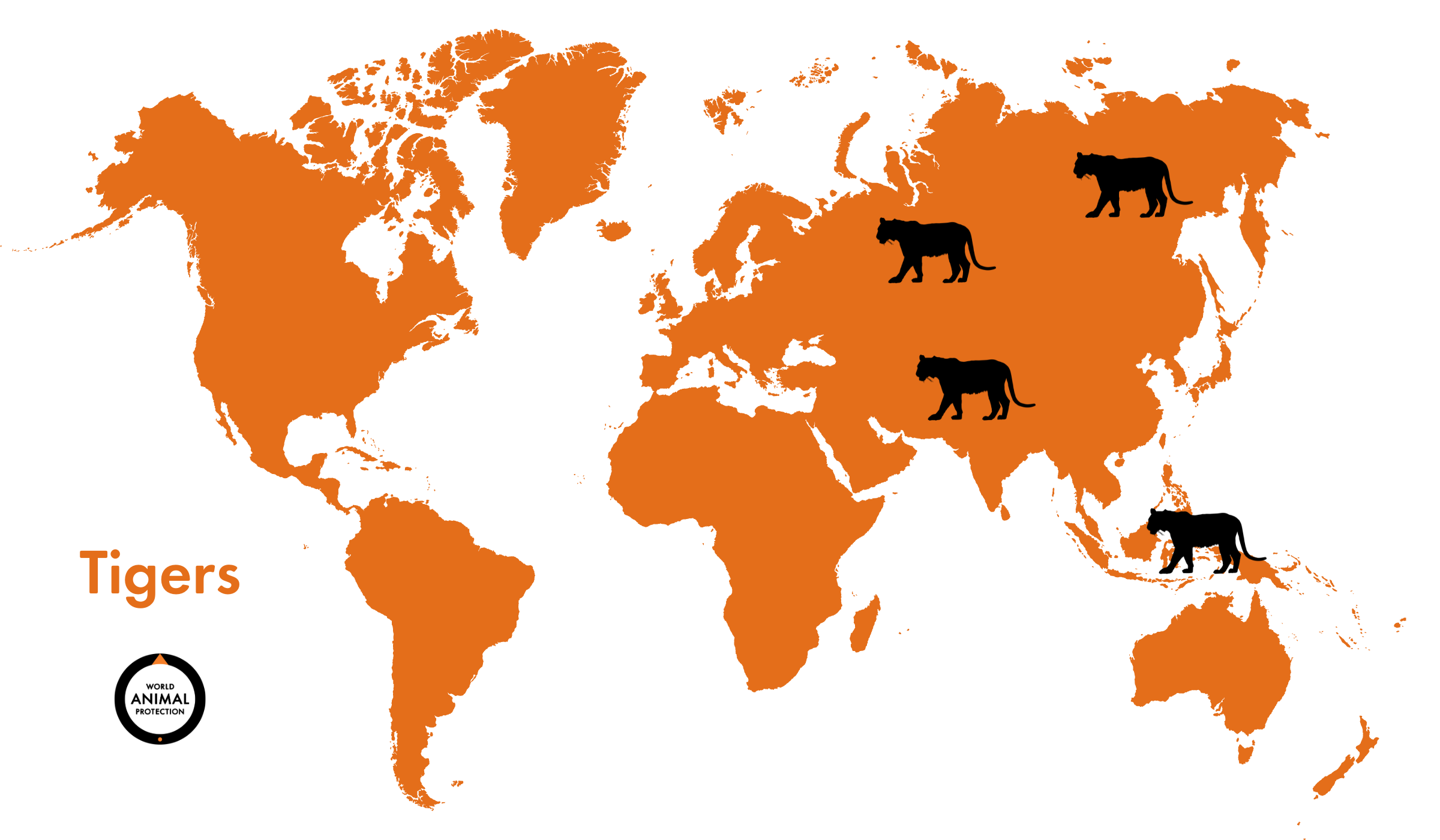 A map showing where tigers live around the world.