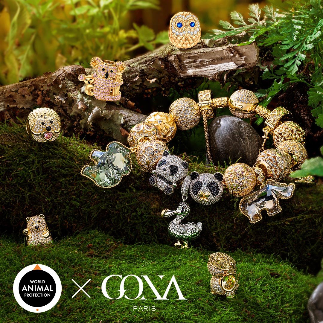 A collection of GONA's jewelry on a mossy forest background.